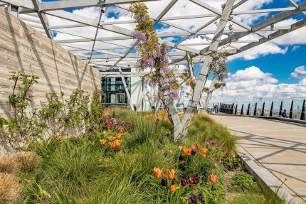 Roof terrace builder commercial roof conversion garden design flat roofer builder designer contractor near me in London north west central.