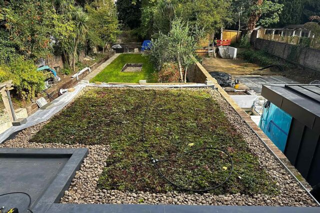 Roofer London near me warm roof system sedum green Kensington roofing contractor Specialist