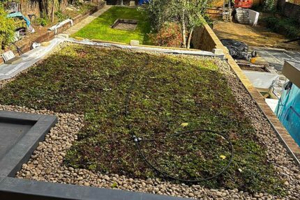 Completed ecological sedum green roof providing natural insulation and stormwater management.