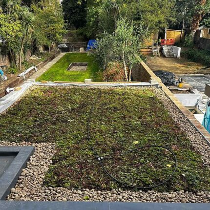 Eco-friendly sedum green flat roof system installed over a domestic residence by our NFRC-approved london roofing specialists.